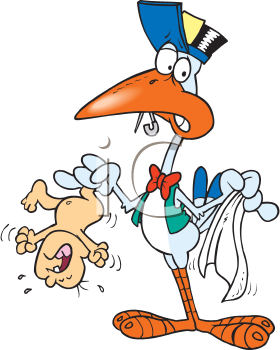 Bird Clipart