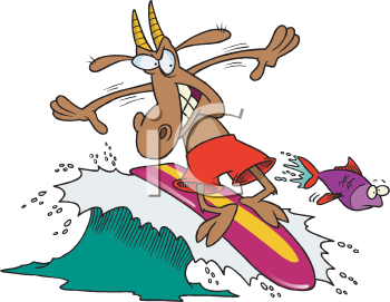 Fish and Sea Life Clipart