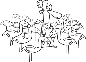 Bird Clipart