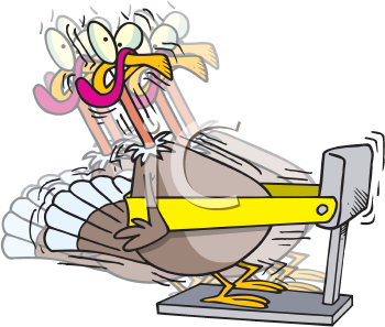 Bird Clipart