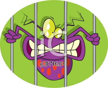 Insect Clipart