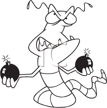 Insect Clipart