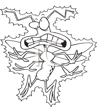 Insect Clipart
