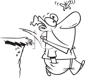 Insect Clipart