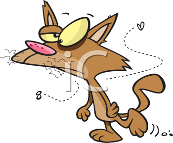 Insect Clipart