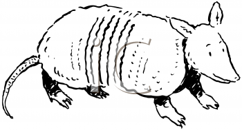 Mammal Clipart
