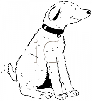 Pet Clipart
