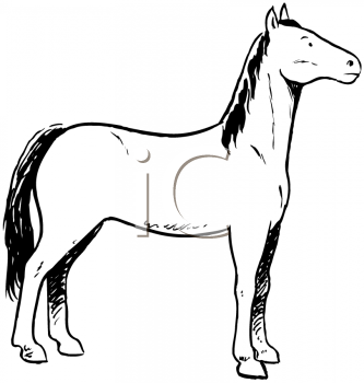 Horse Clipart