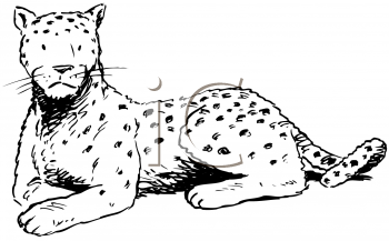 Dog Clipart