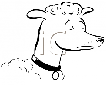 Pet Clipart