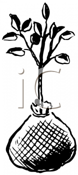 Nature and Scenic Clipart