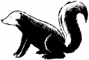Mammal Clipart