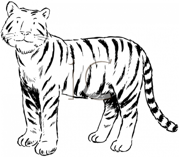 Pet Clipart