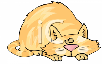 Pet Clipart