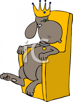 Pet Clipart