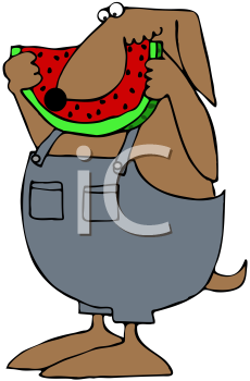 Pet Clipart
