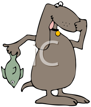 Pet Clipart