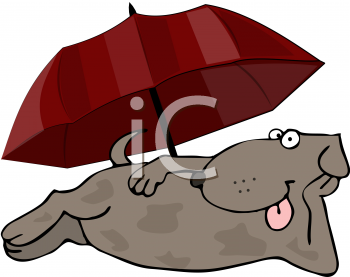 Pet Clipart