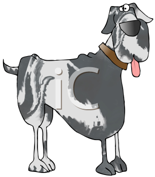 Dog Clipart