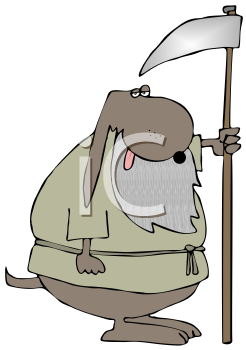 Pet Clipart