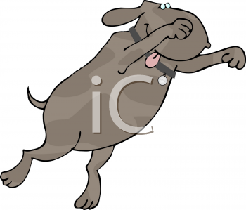 Dog Clipart