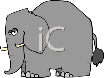 Mammal Clipart