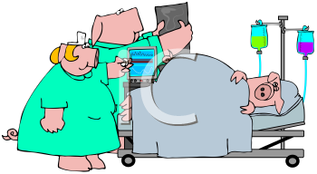 Farm Animal Clipart