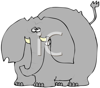 Mammal Clipart