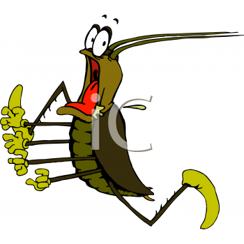 Insect Clipart