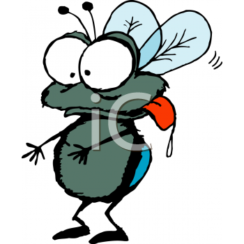 Insect Clipart