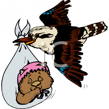 Bird Clipart