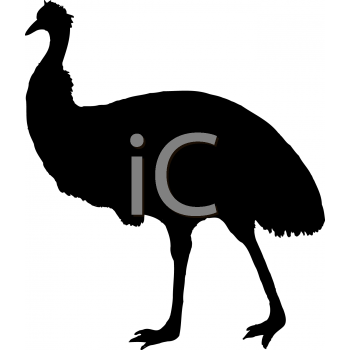 Bird Clipart