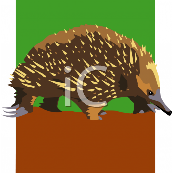Animal Clipart