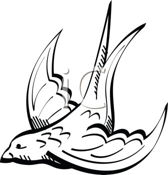 Insect Clipart