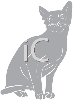 Pet Clipart