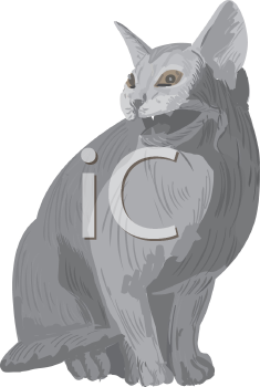Pet Clipart