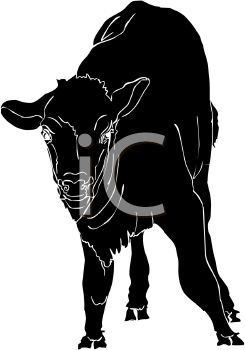 Buffalo Clipart