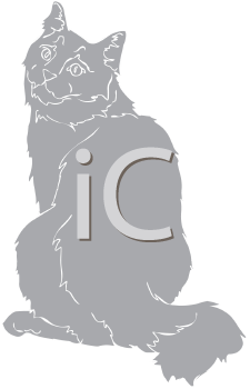 Pet Clipart