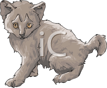 Pet Clipart