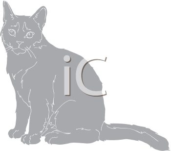 Pet Clipart