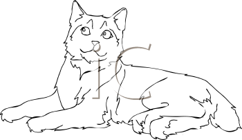 Pet Clipart