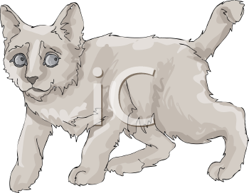 Pet Clipart