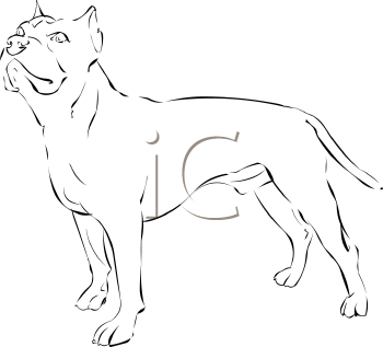 Dog Clipart