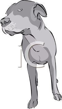 Farm Animal Clipart