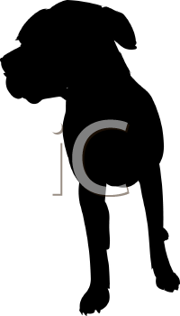 Pet Clipart