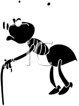 Insect Clipart