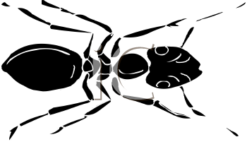 Insect Clipart