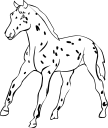 Horse Clipart