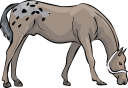 Horse Clipart