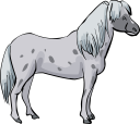 Horse Clipart
